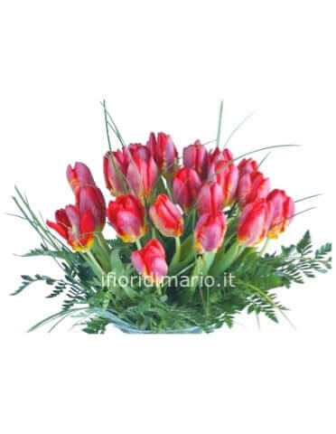 Bouquet di tulipani- a partire da 15 tulipani