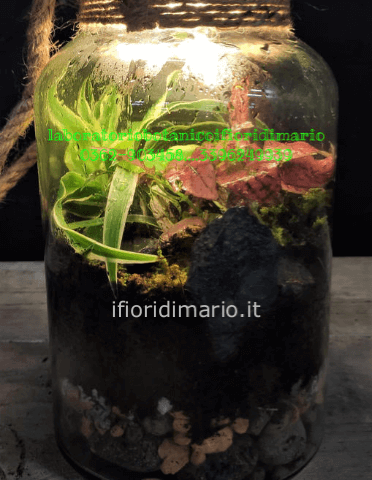 TERRARIUM TROPICALE- H CM. 35- CON LUCE DI SUPPORTO