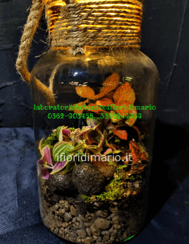 TERRARIUM  TROPICALE- H CM. 35- CON LUCE DI SUPPORTO