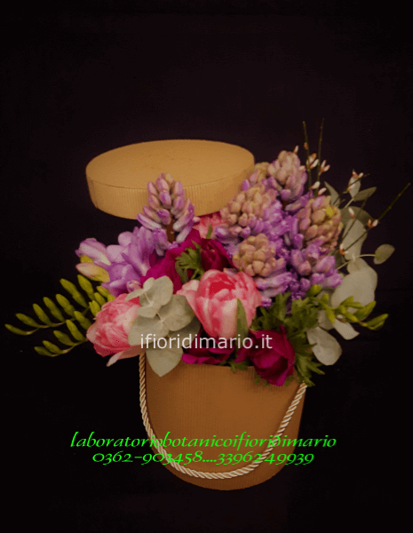 scatola tulipani - giacinti etc  come da foto
